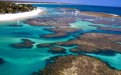 Porto de Galinhas 1