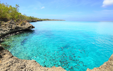San Andres 2