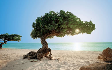 Aruba 2