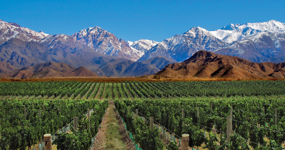 Mendoza Grande