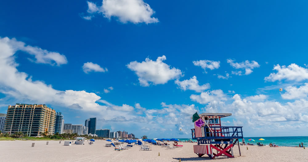 MIAMI 2019 GRANDE