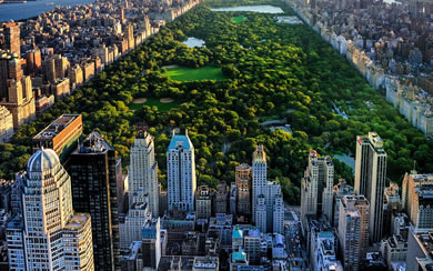 NYC 2019 2