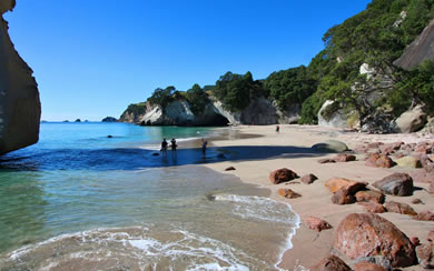NUEVA ZELANDA 1