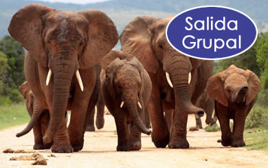 SUDAFRICA 2