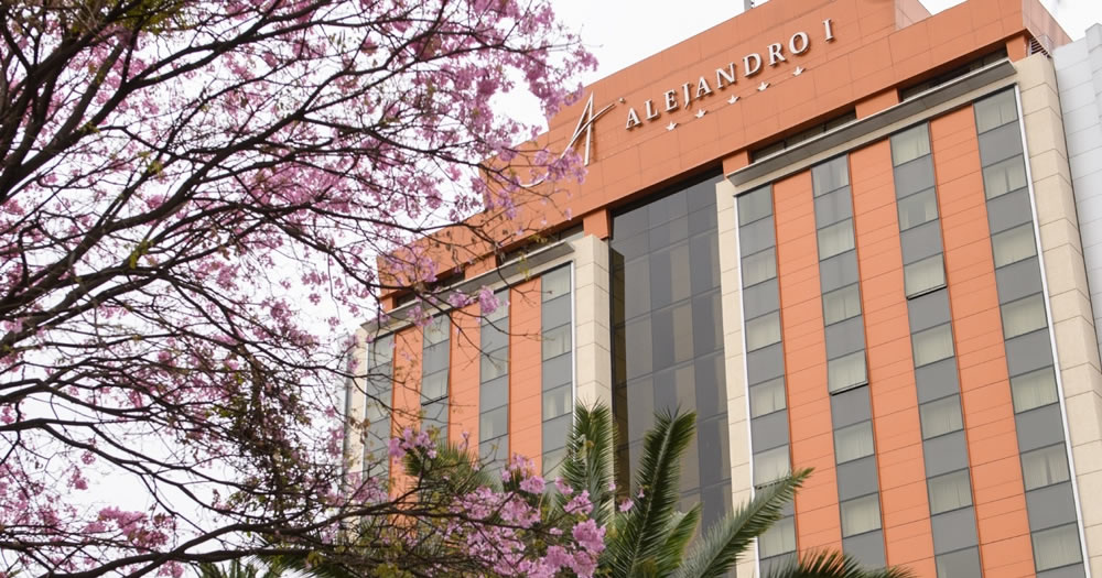 SALTA PREMIUM GRANDE